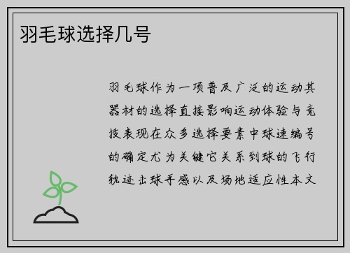 羽毛球选择几号